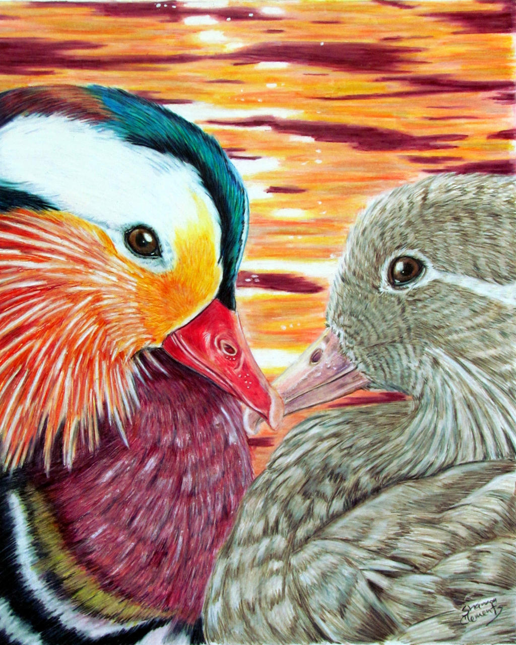 Mandarin Ducks in love