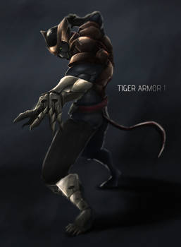 Tiger Armor I