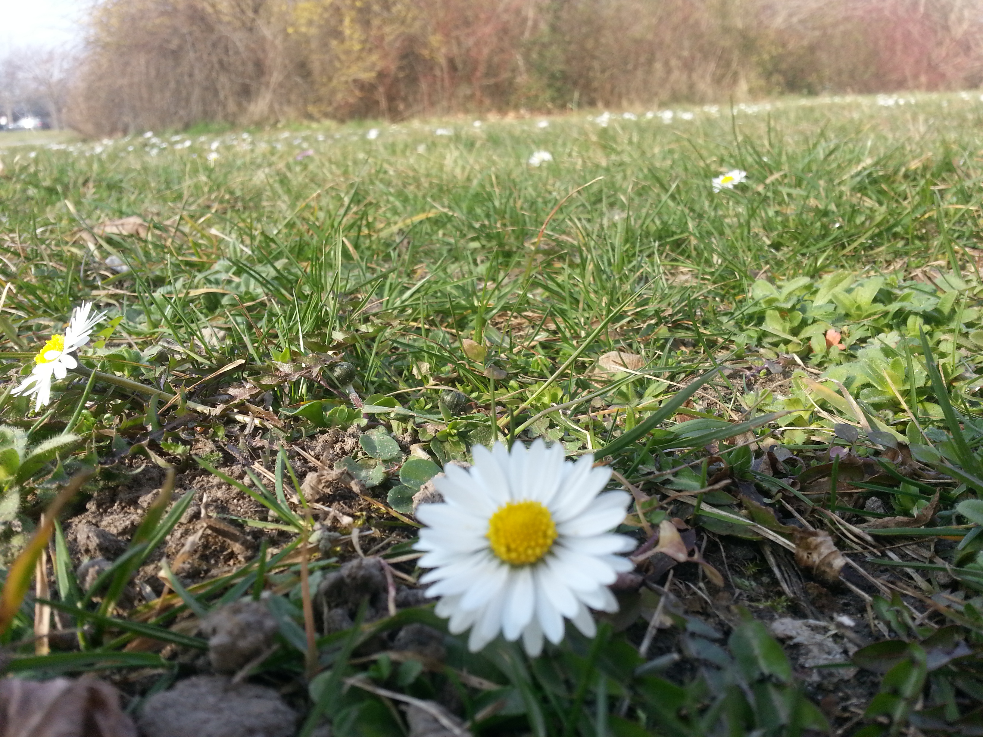 spring!!! :-)