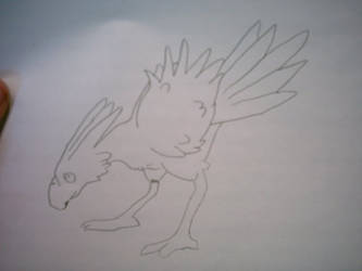 Chocobo  2