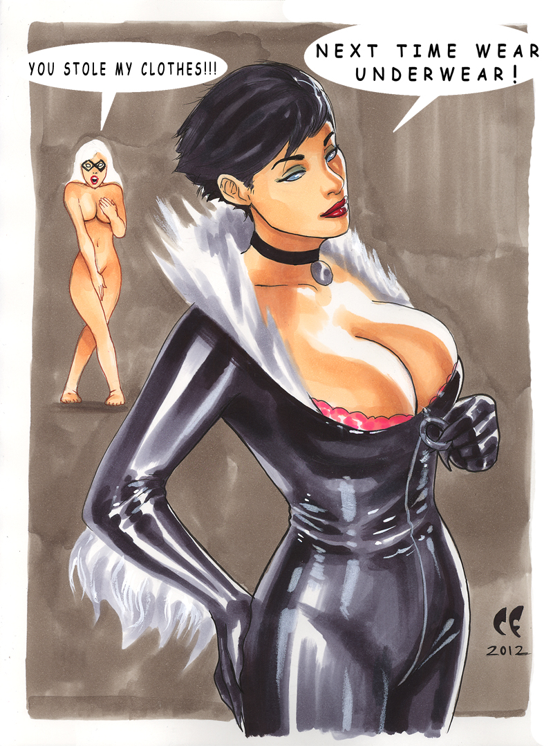 Catwoman Steals Black Cat's Outfit