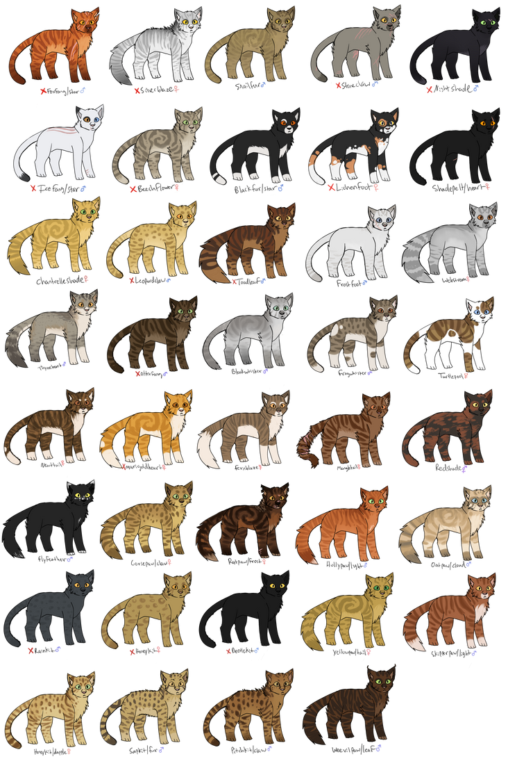 Shadowclan Id Shadowclan by YarrowLeef on DeviantArt