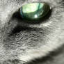 Green Cat Eye