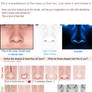 Breaking Down the Nose To Draw