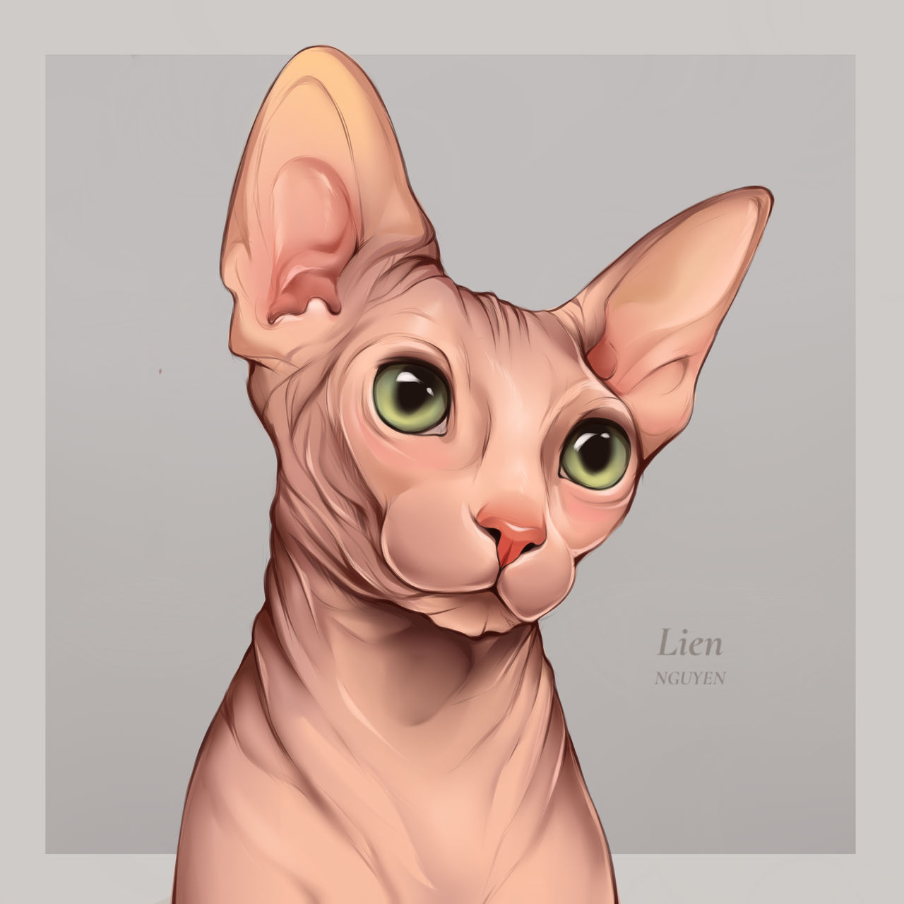 Cat by Lienillustration on DeviantArt