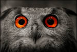 I see danger by Yousry-Aref