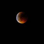 Lunar Eclipse  - ASWAN