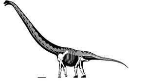 Chuanjiesaurus anaensis