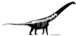 Overosaurus paradasorum