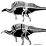 Ouranosaurus nigerensis