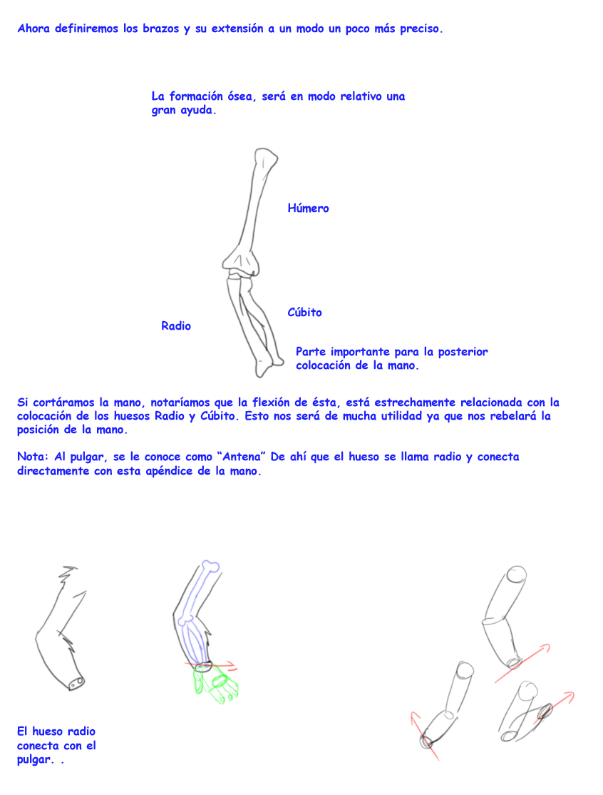 Aprende furry 15 (extremidades)