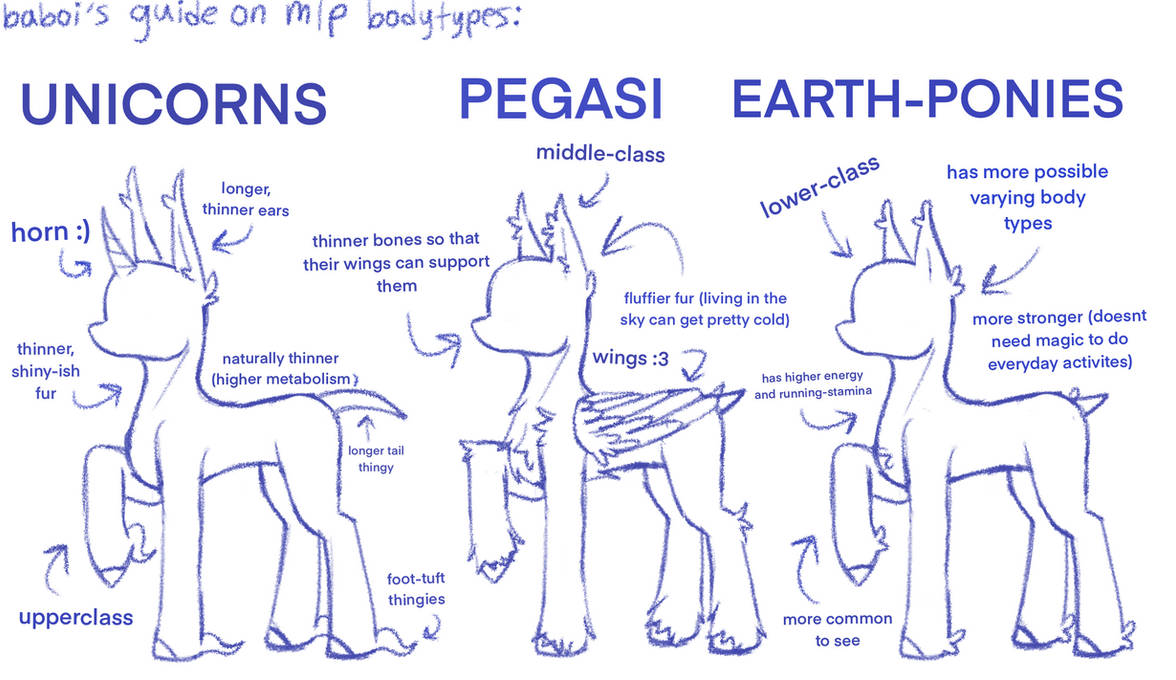 mlp bodytypes!!!! by Bab0i on DeviantArt