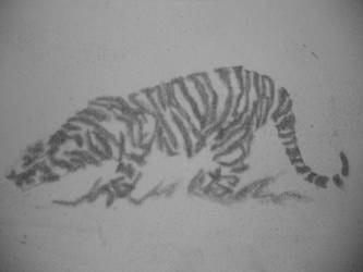 tiger