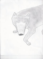 My First Wolf Drawing