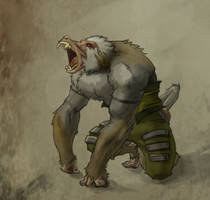 Baboon Warrior 005