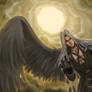 one winged angel