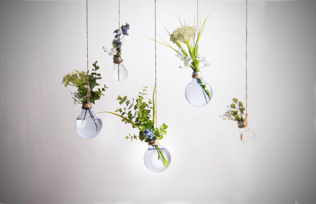 DIY Plant vases