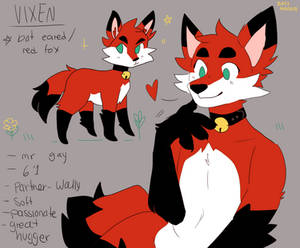 vixen 2020 ref