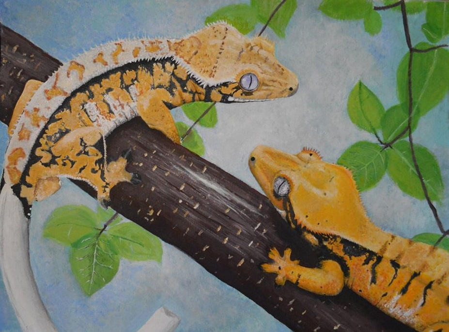 Gecko Deviantart Crested Gecko Art by Kbgecko on DeviantArt