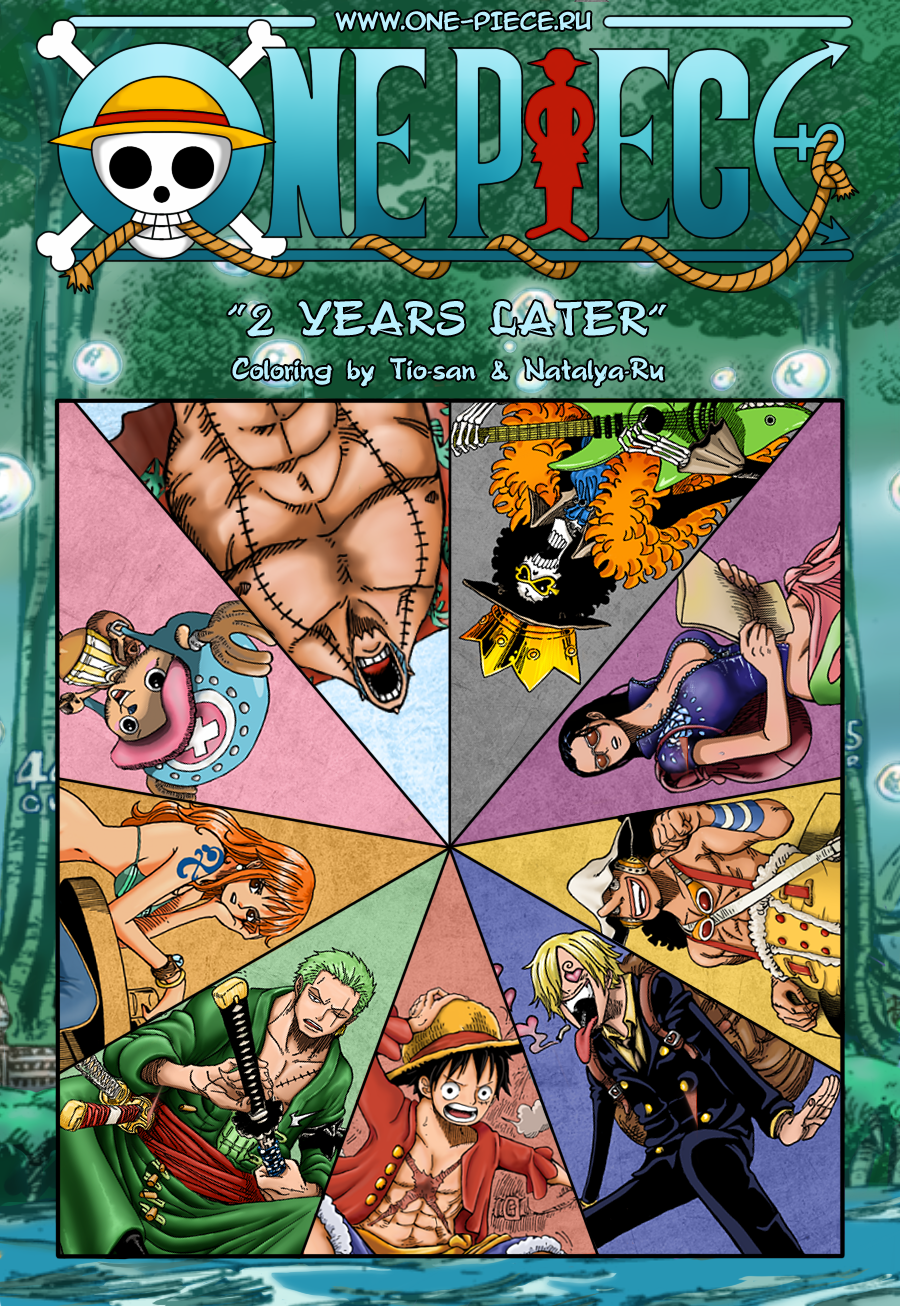 One piece - 2 Years later