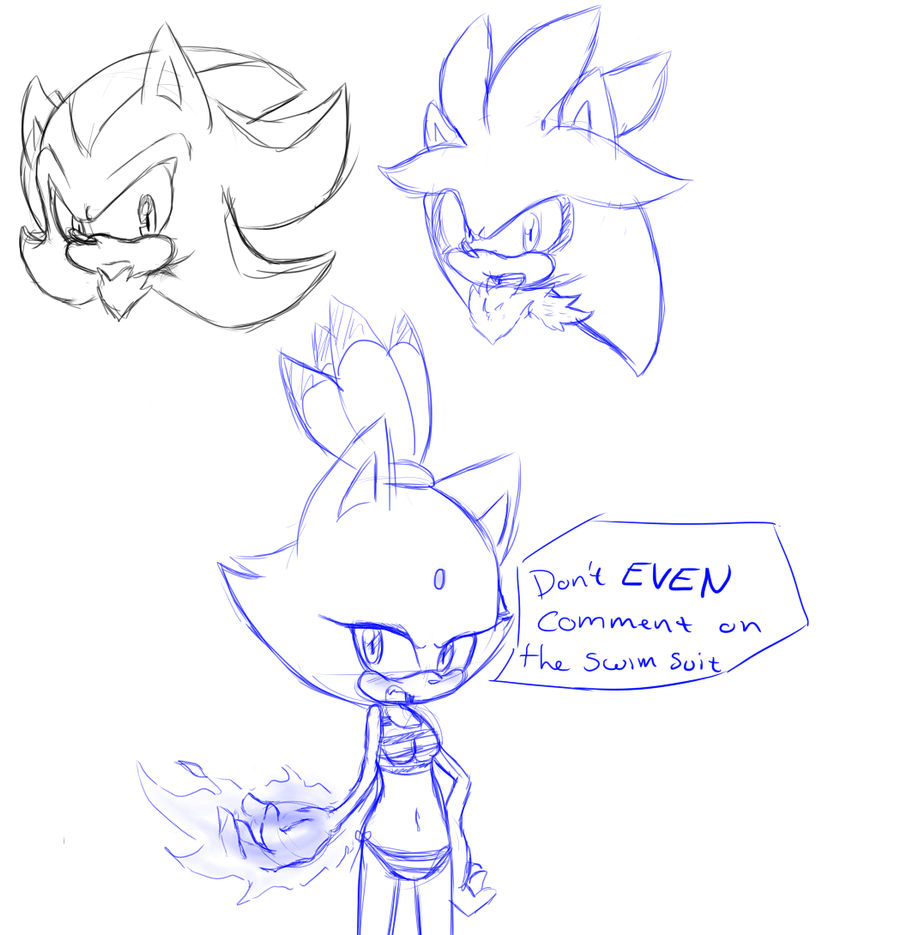 Shadow,Silve,Blaze