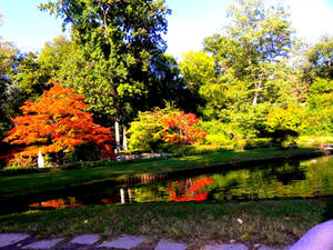 Autumn Lake