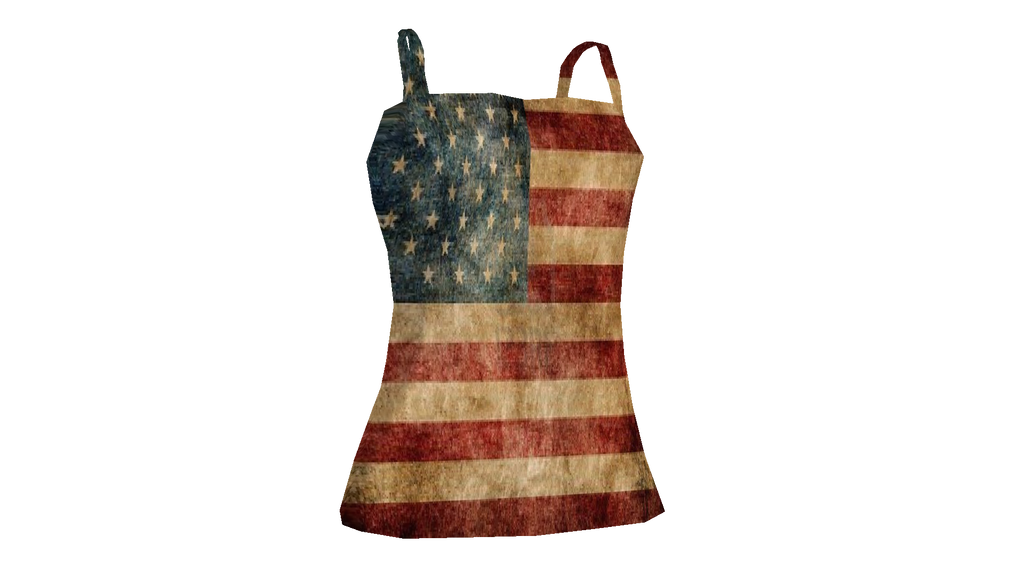 MMD Old American Flag Top DL