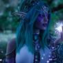 Tyrande and the Wisp