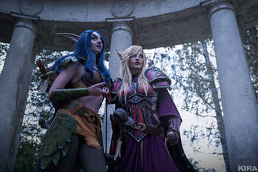 Night Elf and Blood Elf - The fragile union