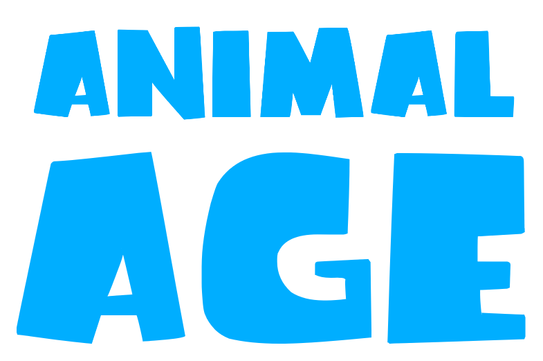 Animal Age Style Animal Age by Appleberries22 on DeviantArt