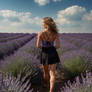 Walking in a Lavender Field