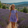 Walking Through the Lavender Fields