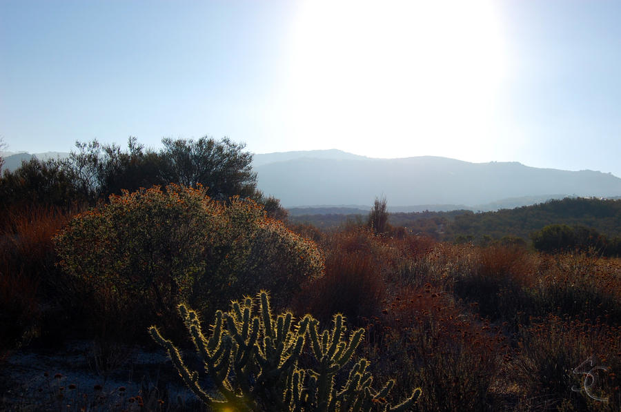 Sunrise on highway 8