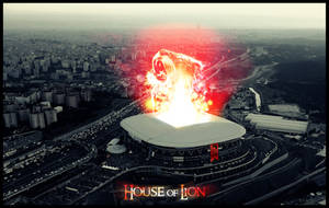 House of Lion