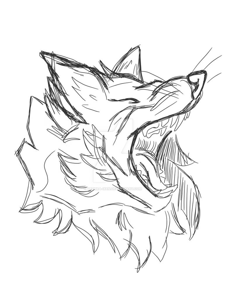 Wolf sketch