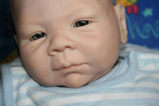 Reborn Doll - Phoenix