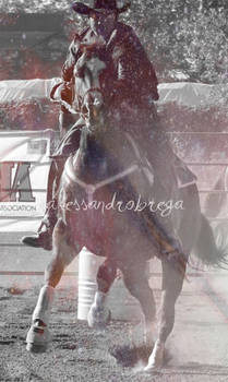 barrel racing 13.