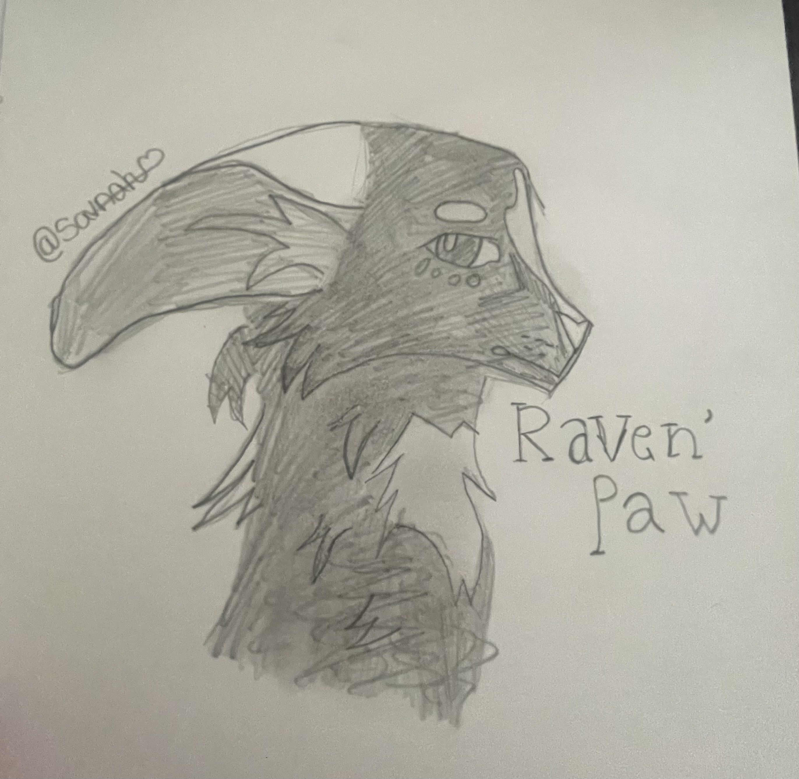 Ravenpaw [Warrior cats] by ShaDowL09 on DeviantArt