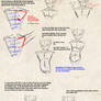 How to anatomy, tips