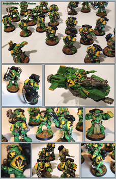 Project Badab: Mantis Warriors