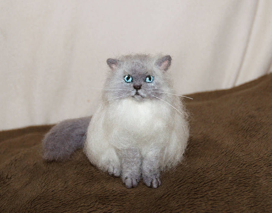 Needle felted himalayan cat by amber-rose-creations