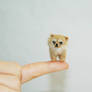 Tiny Needle Felted Chihuahua