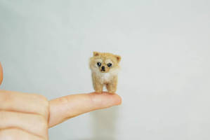 Tiny Needle Felted Chihuahua