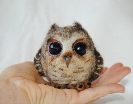 Needle Felted Baby Owl by amber-rose-creations