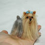 Mini Long Coated Yorkshire Terrier, Needle Felted