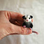 Tiny Needle Felted Baby Opossum