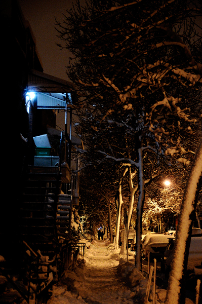 promenade nocturne