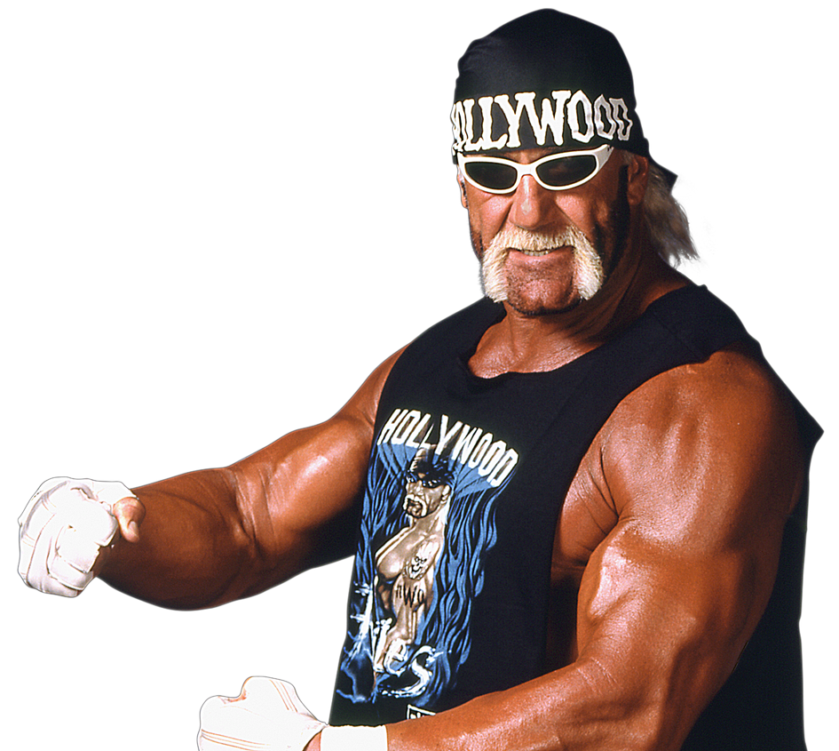 Hulk Hogan PNG WWE by V-Mozz on DeviantArt