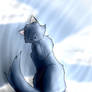 Bluesky- Request