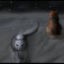 The Coldest Night